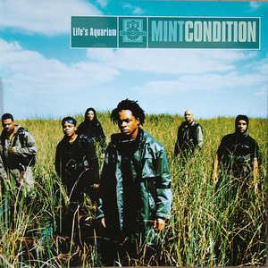 Front Cover Album Mint Condition - Life's Aquarium Front Cover Album Mint Condition - Life's Aquarium
