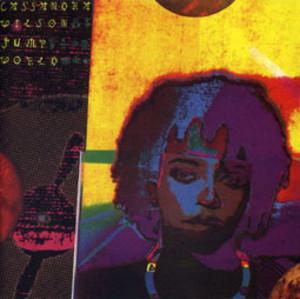Front Cover Album Cassandra Wilson - Jump world
